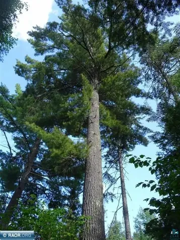 6701 Koski Road Tower MN 55790