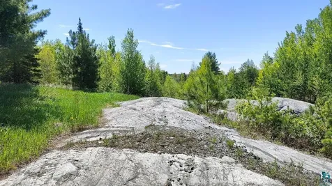 80036 Sweet Fern Loop Tower MN 55790