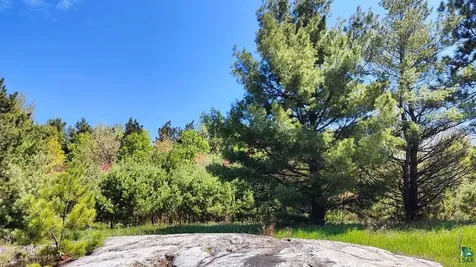 80036 Sweet Fern Loop Tower MN 55790