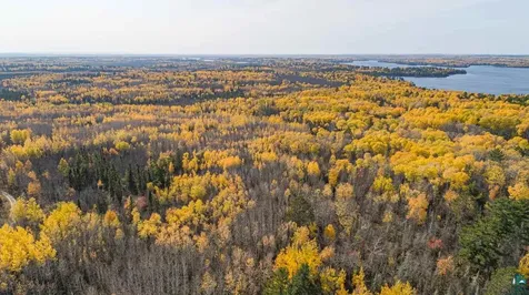 Tbd Labrec Klein Trail Ely MN 55731