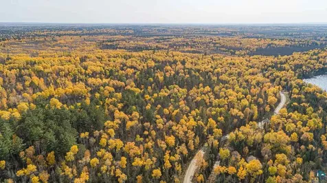 Tbd Sunset Road Ely MN 55731