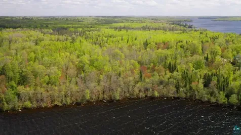 Parcel C S Niles Bay Forest Road Orr MN 55771