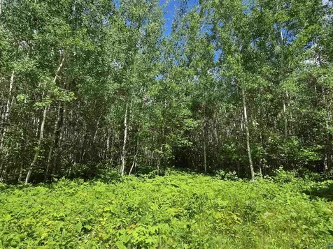 Xxx Mt Nelson Road Mahtowa MN 55707