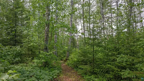 3806 Dorem Drive Ely MN 55731