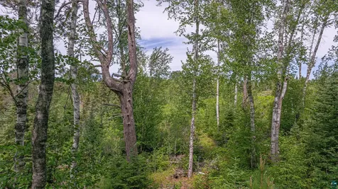 3806 Dorem Drive Ely MN 55731