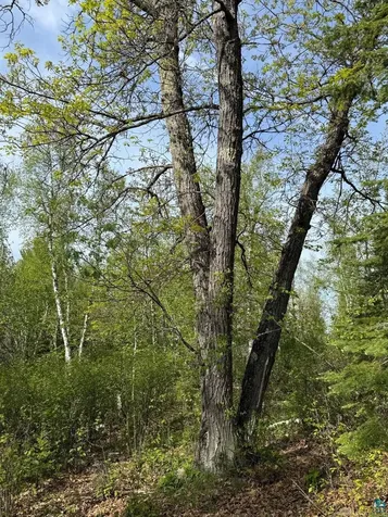 Tbd Moose Creek Trail Ely MN 55731
