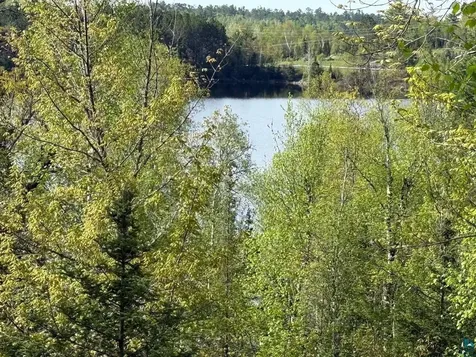 Tbd Moose Creek Trail Ely MN 55731