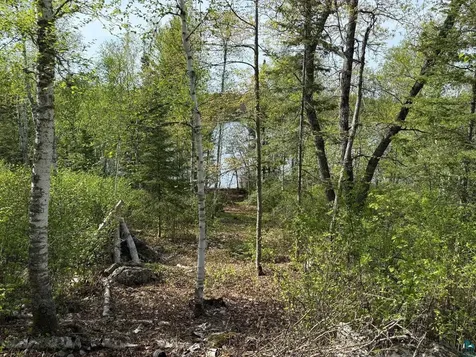 Tbd Moose Creek Trail Ely MN 55731