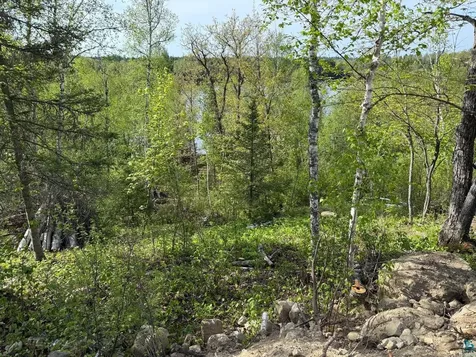 Tbd Moose Creek Trail Ely MN 55731