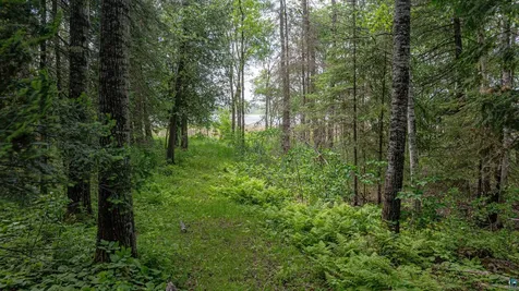7280 Far North Road Buyck MN 55772