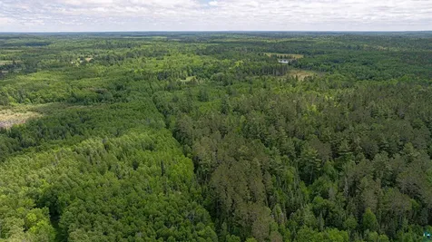 7280 Far North Road Buyck MN 55772