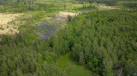 7280 Far North Road Buyck MN 55772