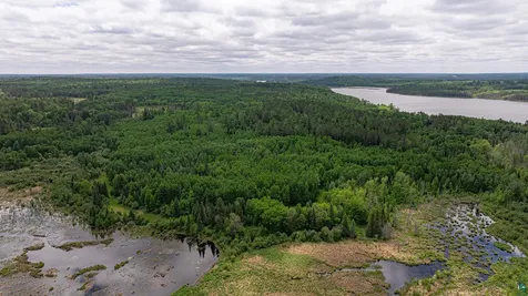 7280 Far North Road Buyck MN 55772