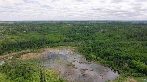 7280 Far North Road Buyck MN 55772