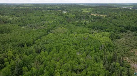 7280 Far North Road Buyck MN 55772