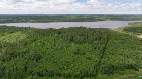 7280 Far North Road Buyck MN 55772