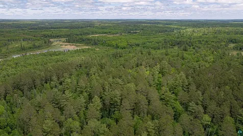 7280 Far North Road Buyck MN 55772
