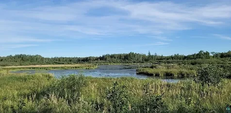 Tbd Samuelson Road Angora MN 55703