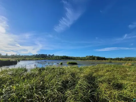 Tbd Samuelson Road Angora MN 55703