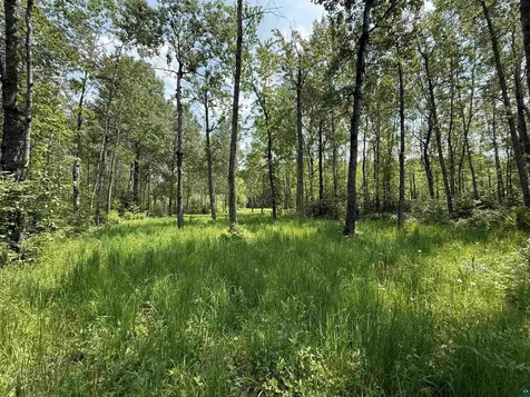 Tbd Samuelson Road Angora MN 55703