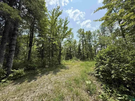 Tbd Samuelson Road Angora MN 55703