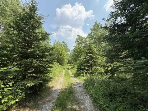 Tbd Samuelson Road Angora MN 55703