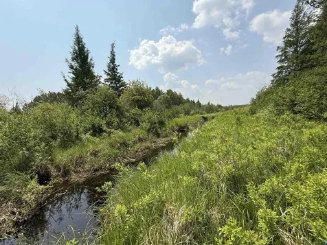 Tbd Samuelson Road Angora MN 55703