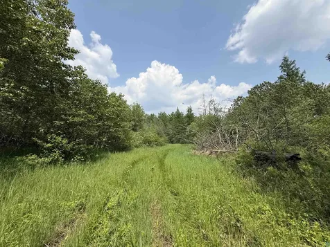 Tbd Samuelson Road Angora MN 55703