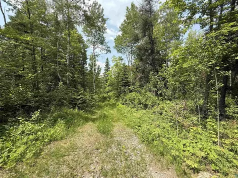 Tbd Samuelson Road Angora MN 55703