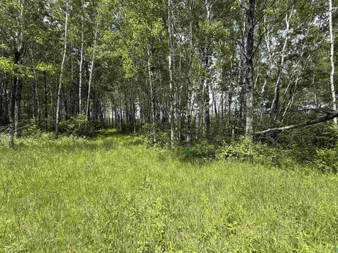 Tbd Samuelson Road Angora MN 55703