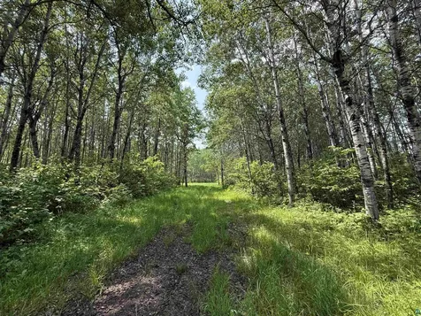 Tbd Samuelson Road Angora MN 55703