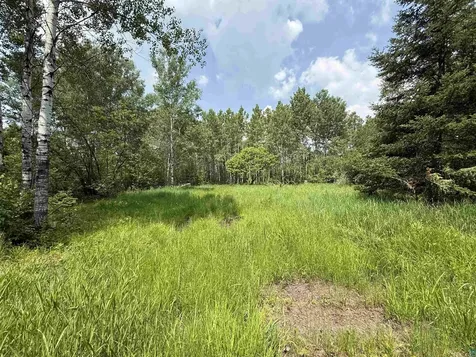 Tbd Samuelson Road Angora MN 55703