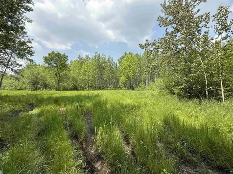 Tbd Samuelson Road Angora MN 55703