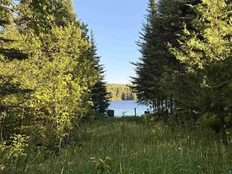 16 Ary Point Road Hovland MN 55606