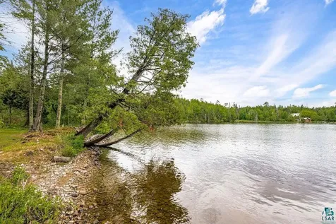 95824 Pine Island Tower MN 55790
