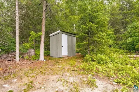 95824 Pine Island Tower MN 55790