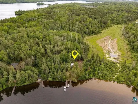 95824 Pine Island Tower MN 55790