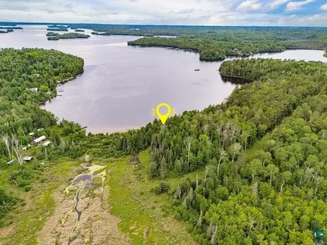 95824 Pine Island Tower MN 55790