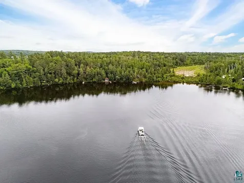 95824 Pine Island Tower MN 55790