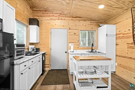 95824 Pine Island Tower MN 55790