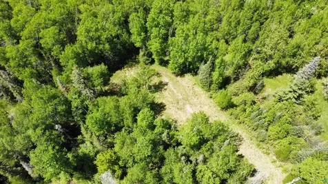 5377 Mcquade Road Duluth MN 55804
