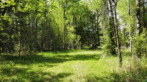 5377 Mcquade Road Duluth MN 55804