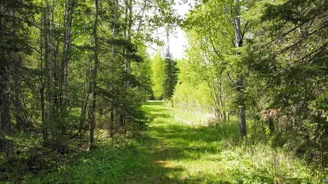 5377 Mcquade Road Duluth MN 55804