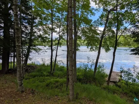 61925 Basswood Road Iron River WI 54847