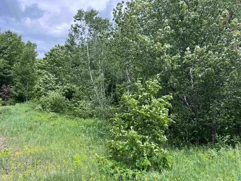 Xxx Rice Avenue Bayfield WI 54814