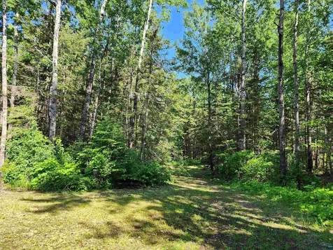 117 Tower Road Hovland MN 55606