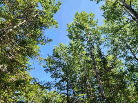 117 Tower Road Hovland MN 55606