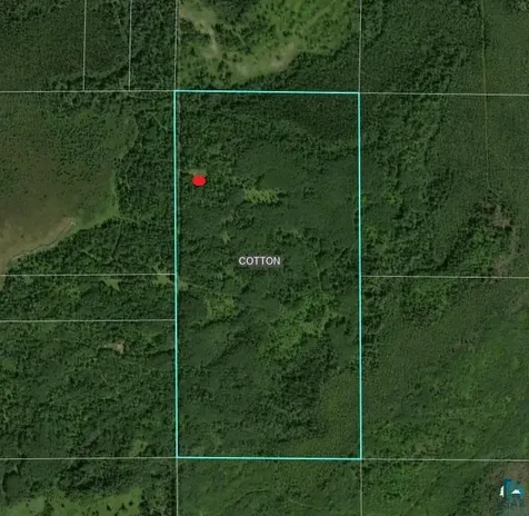 8680 Lambert Road Cotton MN 55724