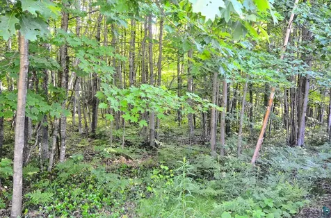 26003 Freedom Valley Drive Washburn WI 54891