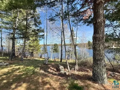 2275 Loon Point Makinen MN 55763
